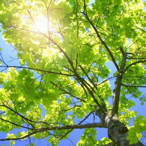 美女坐鸡巴视频
