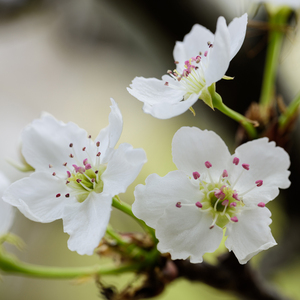 美女坐鸡巴视频
